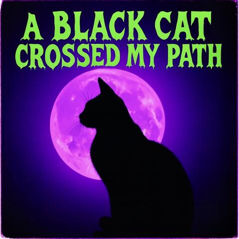 A Black Cat Crossed My Path album art