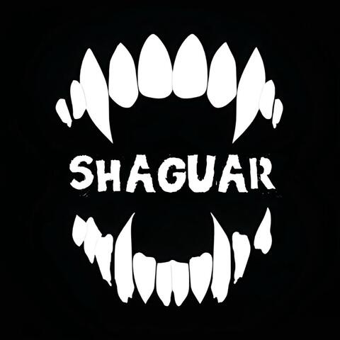 Shaguar album art