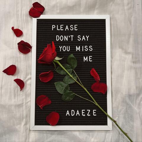 Please Don’t Say You Miss Me album art