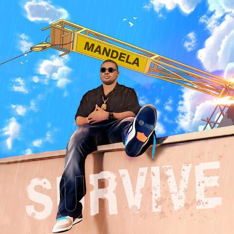 Survive album art