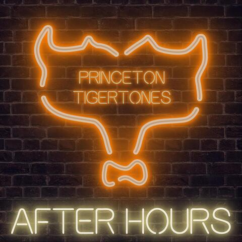 After Hours album art