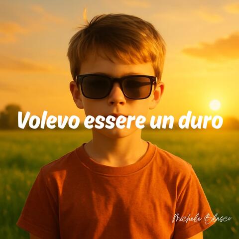 Volevo Essere Un Duro album art