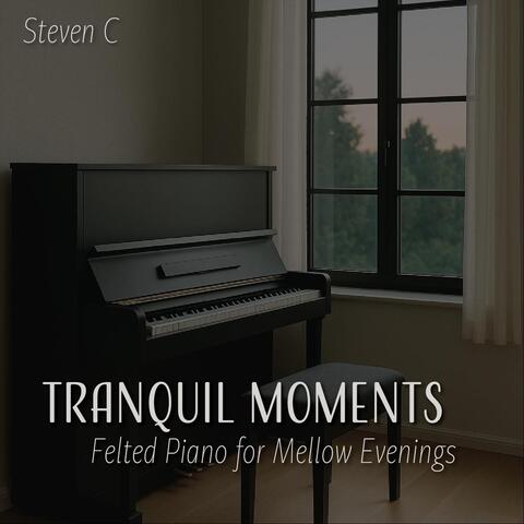 Tranquil Moments - Felted Piano for Mellow Evenings album art