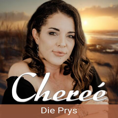 Die Prys album art