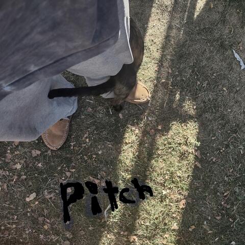 Pitch album art