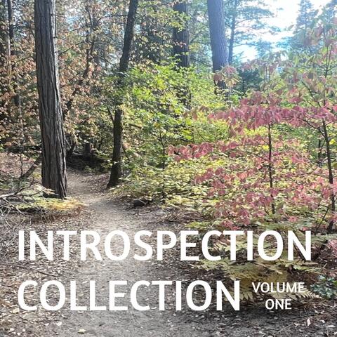 Introspection Collection, Vol. One album art