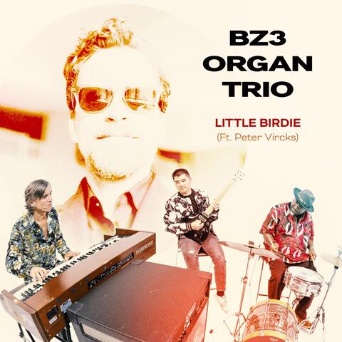 Little Birdie (feat. Peter Vircks) album art