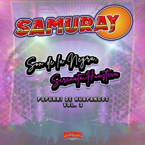 Popurrí De Huapangos Vol3 (Son De La Negra, Serenata Huasteca) album art