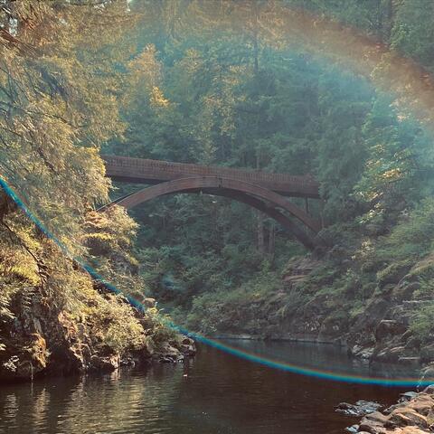 the bridge is only temporary album art