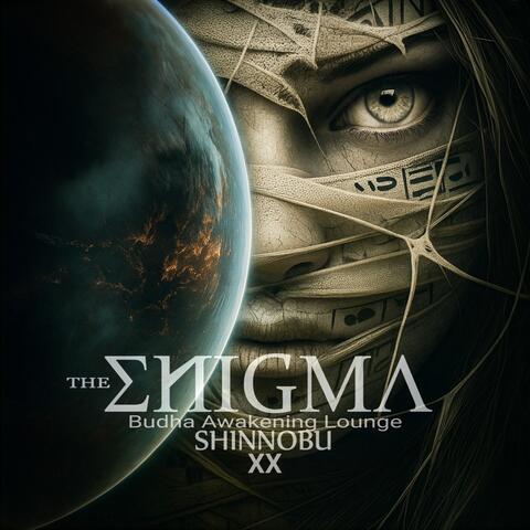 The Enigma XX (Budha Awakening Lounge) album art