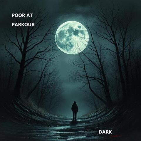 Dark album art