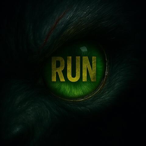 RUN album art