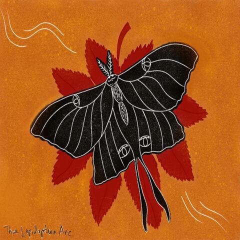 The Lepidoptera Arc album art