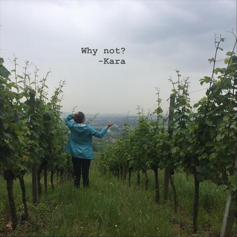 Why not? album art