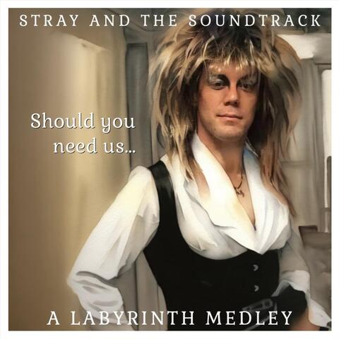 Should You Need Us… (A Labyrinth Medley) album art