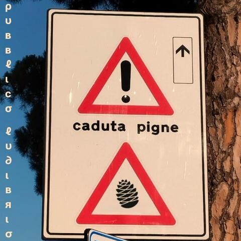 Caduta Pigne album art