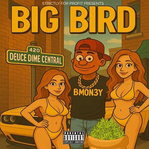 Big Bird album art