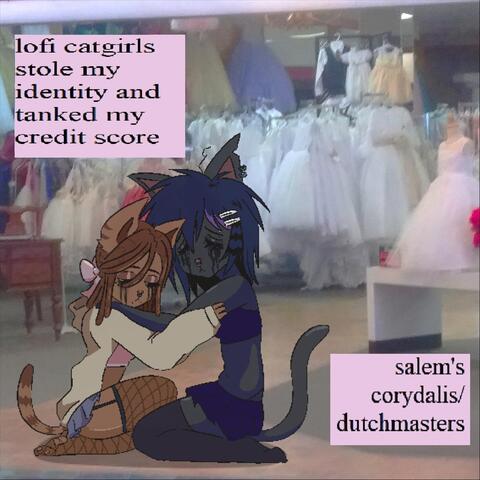Lofi Catgirls Stole My Identity and Tanked My Credit Score album art