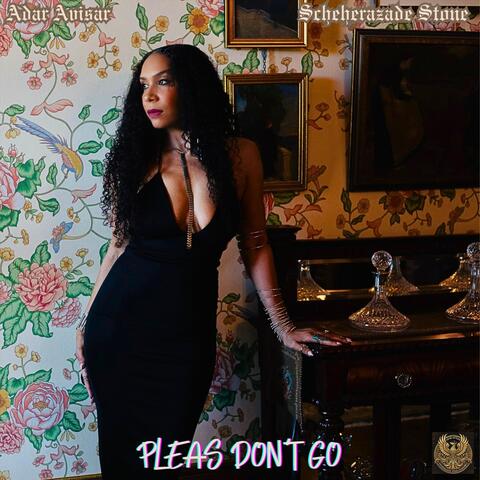 Pleas Don't Go (feat. Guy Ron & Haim Romano) album art
