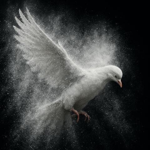 Cocaine album art
