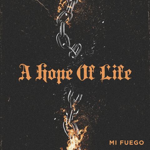 Mi Fuego album art