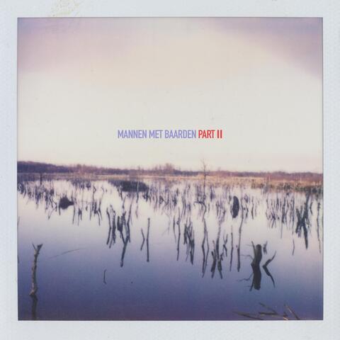 Mannen Met Baarden, Pt. 2 album art