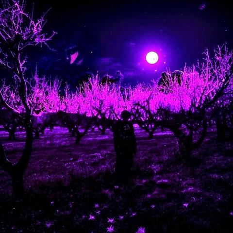 23. album art