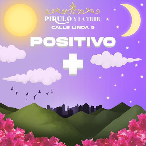 Calle Linda 5: Positivo album art