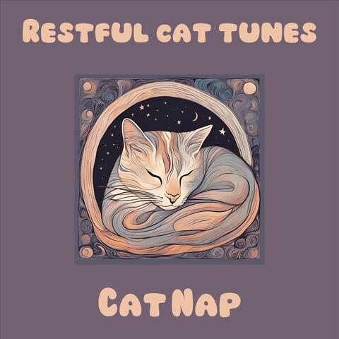 Restful Cat Tunes album art