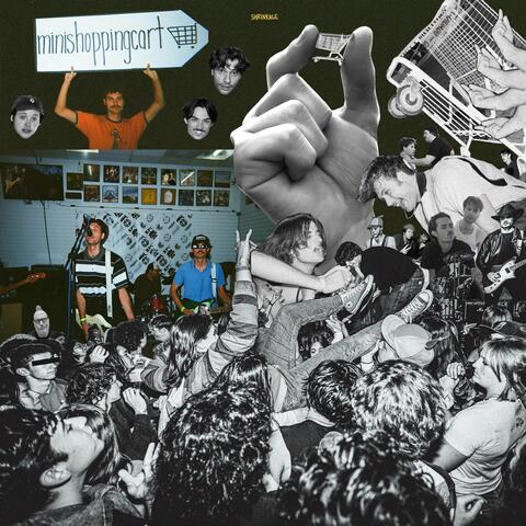 shrinkage album art