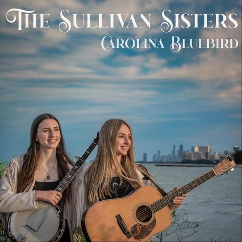 Carolina Bluebird album art