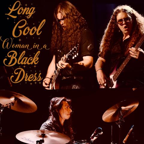 Long Cool Woman (In a Black Dress) album art