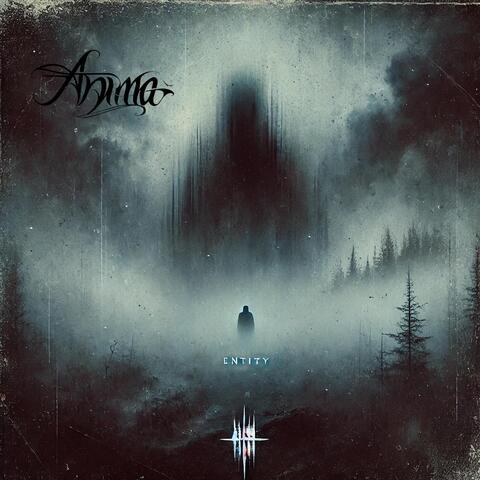 Entity album art