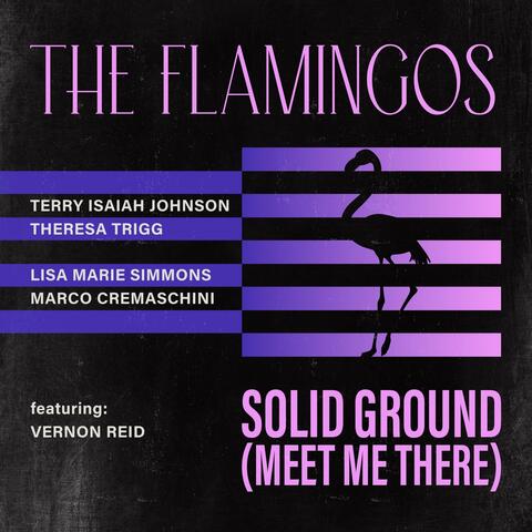 Solid Ground (Meet Me There) [feat. Vernon Reid] album art
