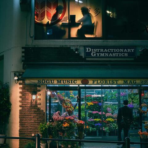 Distractionary Gymnastics album art