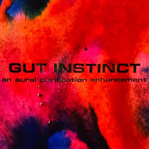 GUT INSTINCT: An Aural Purification Enhancement album art
