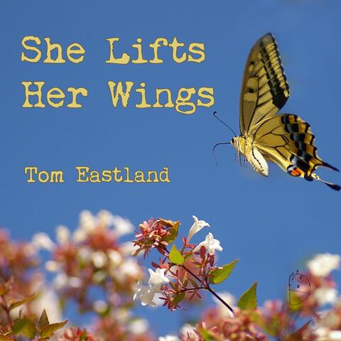 She Lifts Her Wings album art