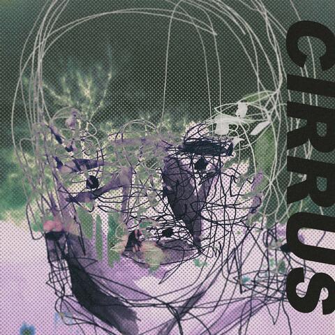 Two Many Faces album art