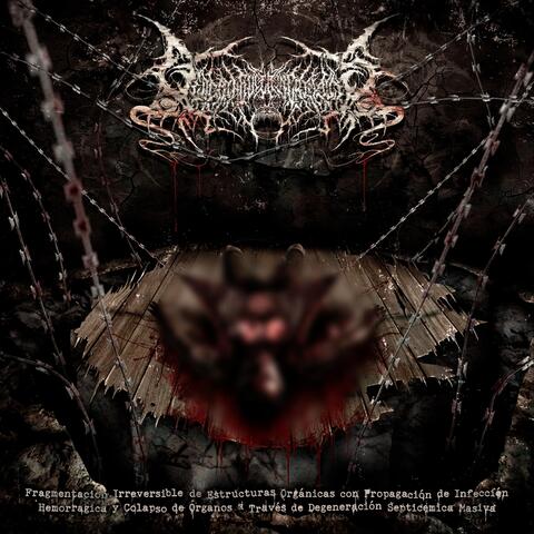 Fragmentación Irreversible De Estructuras Orgánicas Con Propagación De Infección Hemorrágica Y Colapso De Órganos a Través De Degeneración Septicemica Masiva album art