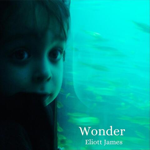 Wonder album art