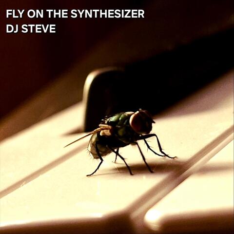 Fly on the Synthesizer album art