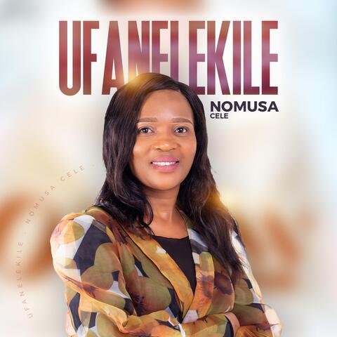 Ufanelekile album art