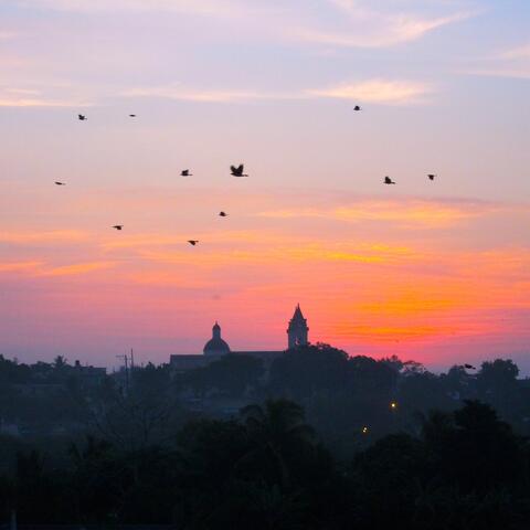 Morning – Matanzas, Cuba album art