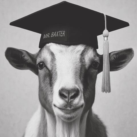 Eleanor Rigby album art