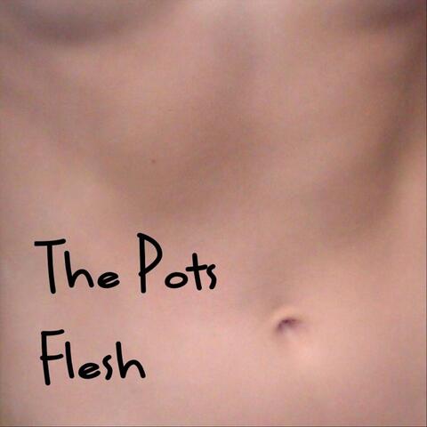 Flesh album art
