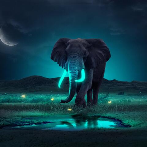 Soothing Memories album art