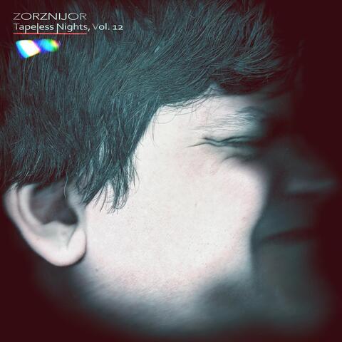 Tapeless Nights, Volume 12 album art