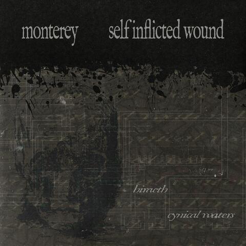 Split album art