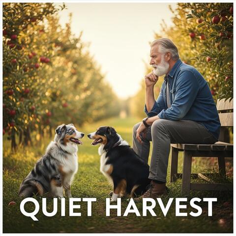 Quiet Harvest album art