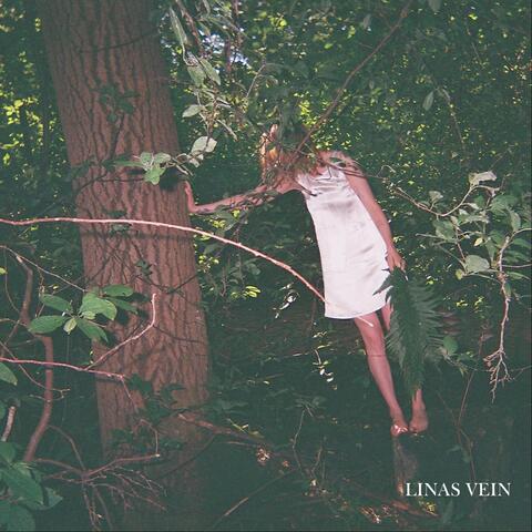 Linas Vein album art
